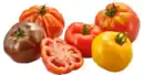 Bild 1 von Tomaten Ochsenherzen