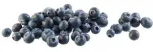 Heidelbeeren