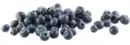 Bild 1 von Heidelbeeren