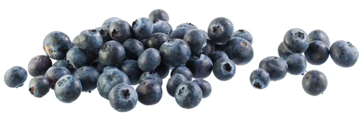 Bild 1 von Heidelbeeren