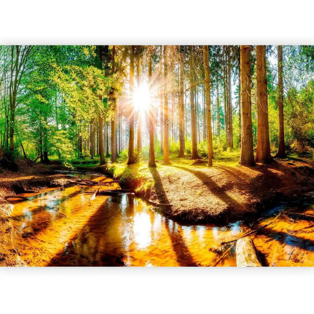 Bild 1 von artgeist Fototapete, Braun, Grün, Textil, Bäume, 400x280 cm, CE, Tapeten & Wandverkleidungen, Fototapeten