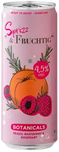WZG Sprizz & Fruchtig, 0,33-l-Dose