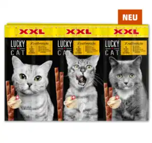 LUCKY CAT XXL Knabbersticks*