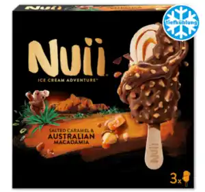 NUII Ice Cream Adventure*