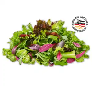 Deutscher Mediterraner Pflücksalat