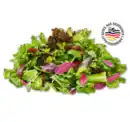 Bild 1 von Deutscher Mediterraner Pflücksalat