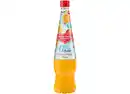 Bild 1 von Fruchtsirup 'Orange-Mango'