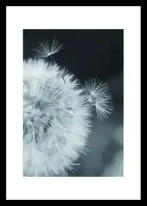 Bild ca. 50 x 70 cm