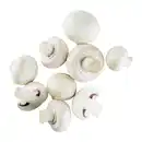 Bild 1 von Kulturchampignons weiß