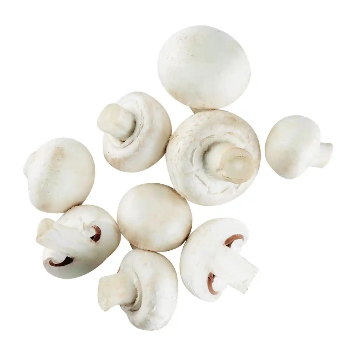 Bild 1 von Kulturchampignons weiß
