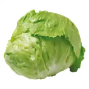 GO Regio Deutscher Eisbergsalat