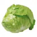 Bild 1 von GO Regio Deutscher Eisbergsalat