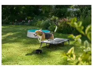 ZOOFARI® Hundebett mit Sonnendach / Faltbare Hundeliege