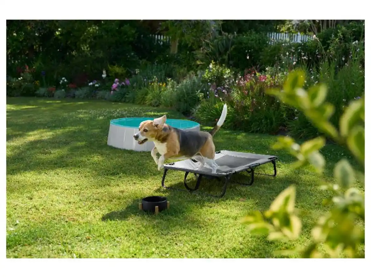 Bild 1 von ZOOFARI® Hundebett mit Sonnendach / Faltbare Hundeliege