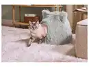 Bild 1 von ZOOFARI® Katzenhöhle / Hundebett