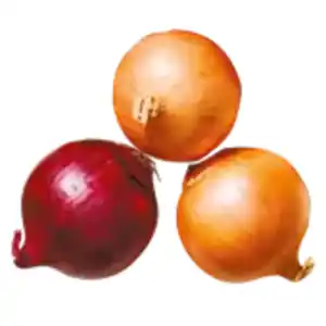 Zwiebel Mix