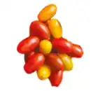 Bild 1 von Dattelcherrytomaten Mix