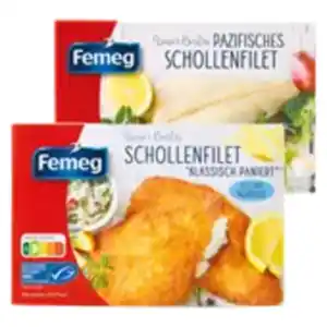Femeg MSC pazifische Scholle