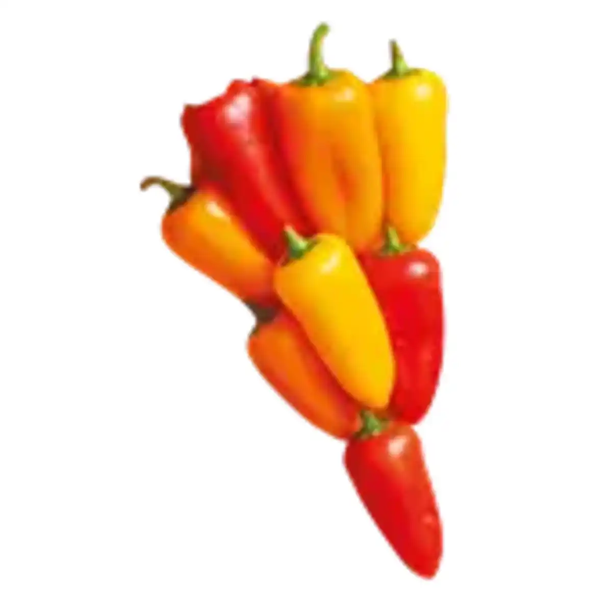 Bild 1 von Snackpaprika Mix