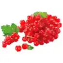 Bild 1 von Rote Johannisbeeren
