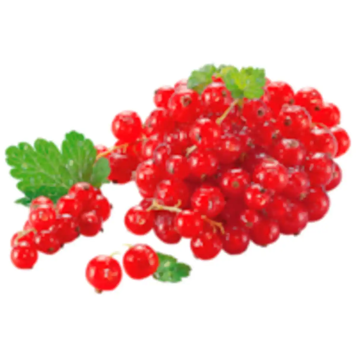 Bild 1 von Rote Johannisbeeren