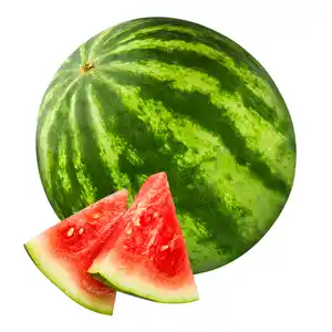 Mini-Wassermelone