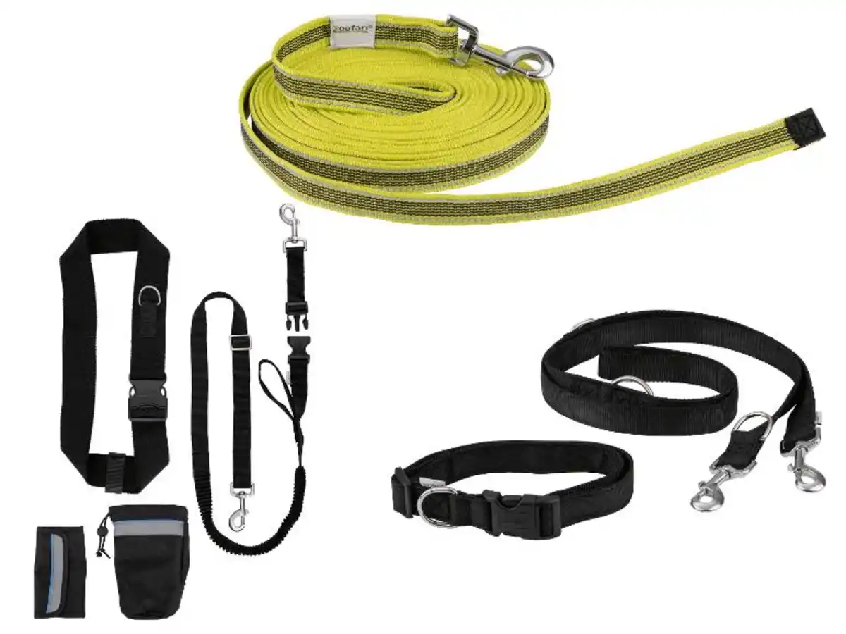 Bild 3 von ZOOFARI® Joggingleine / Schleppleine / Hundehalsband mit Hundeleine