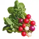 Bild 1 von Radieschen Mix