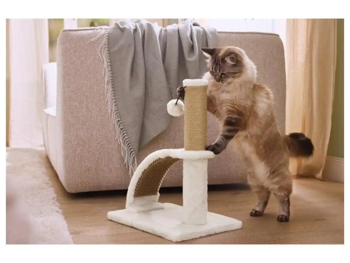 Bild 1 von ZOOFARI® Katzen Kratzstamm