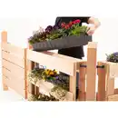 Bild 3 von Skygarden Pflanzmodul Douglasie 80 cm x 120 cm
