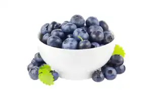 Kulturheidelbeeren