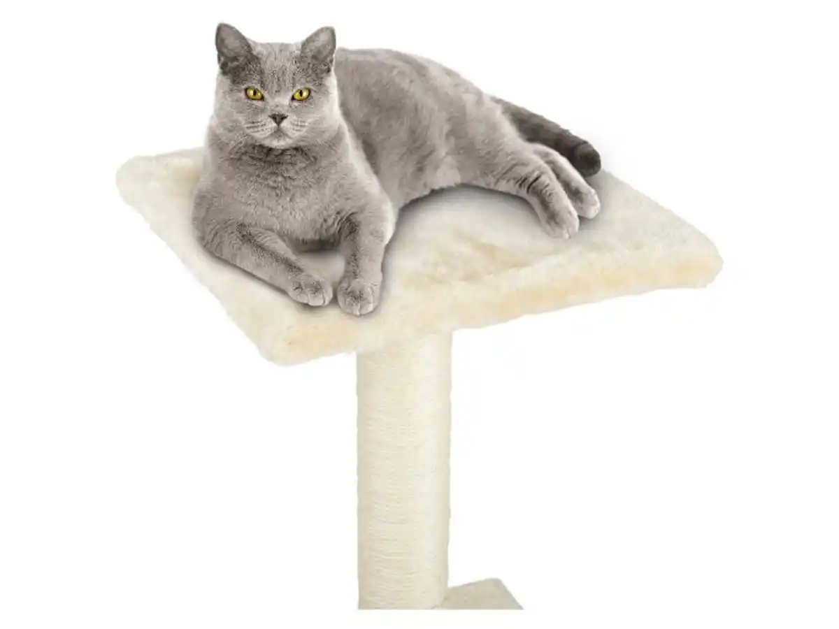 Bild 1 von ZOOFARI® Katzenkratzbaum""