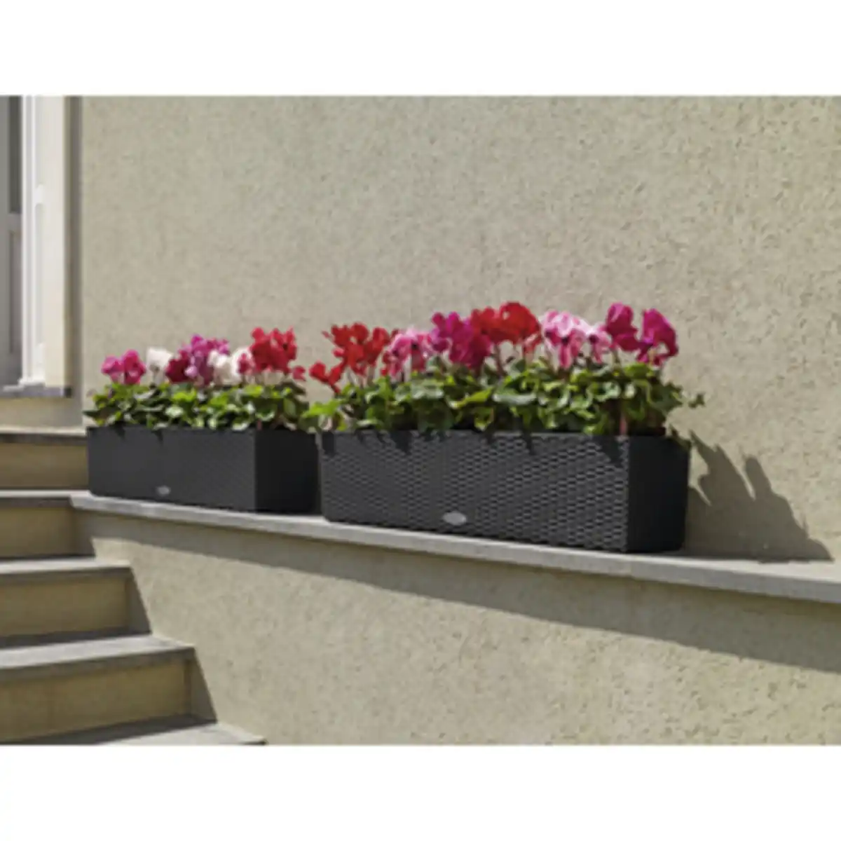 Bild 2 von LECHUZA Balkonkasten »BALCONERA«, Kunststoff, granit, rechteckig