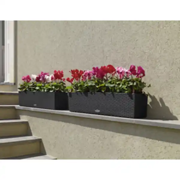 Bild 2 von LECHUZA Balkonkasten »BALCONERA«, Kunststoff, granit, rechteckig