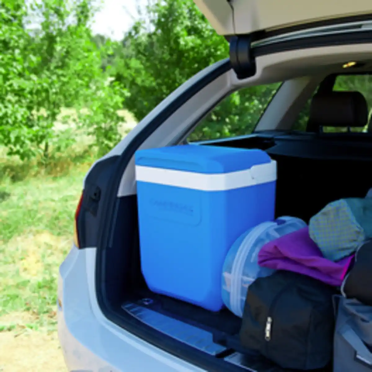 Bild 4 von CAMPINGAZ Kühlbox »Icetime Plus«, 26 l