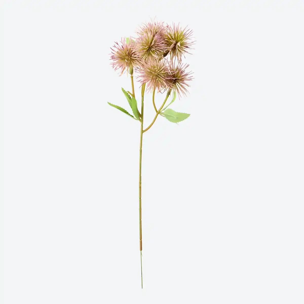 Bild 1 von Deko-Kunstblume "Distel", ca. 35 cm