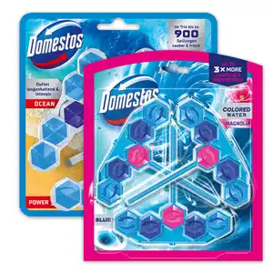 Domestos WC Stein