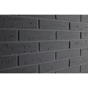 ELABRICK Flachverblender »Blackpool«, 240 x 52 mm, anthrazit, 1m²