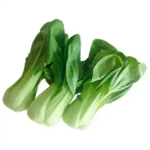 Pakchoi
