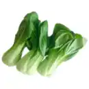 Bild 1 von Pakchoi