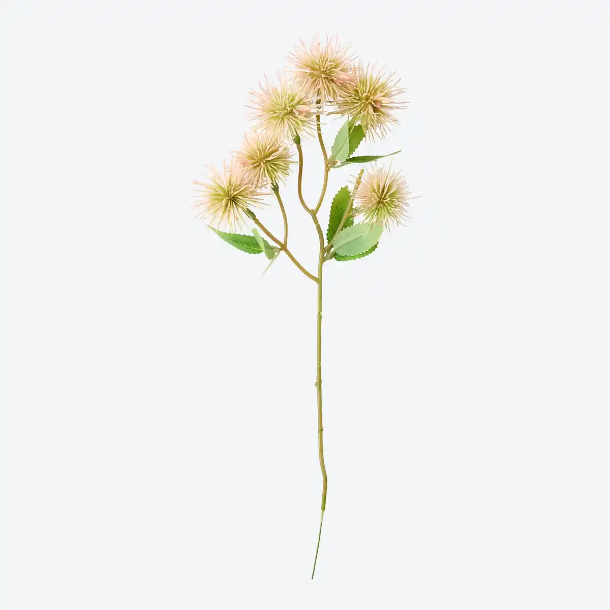 Bild 1 von Deko-Kunstblume "Distel", ca. 35 cm