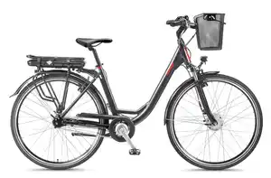 Damen City E-Bike RC657 Multitalent mit 7-Gang Shimano Nabenschaltung, Anthrazit