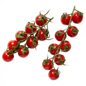 NATUR LIEBLINGE Mini Romarispentomaten 300 g