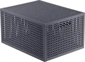 CURVER Aufbewahrungsbox »Kaya M«