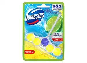Domestos WC Stein Power 5