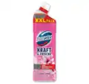 Bild 1 von DOMESTOS WC-Gel*