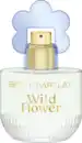 Bild 1 von Betty Barclay Wild Flower, EdP 20ml, 20 ml