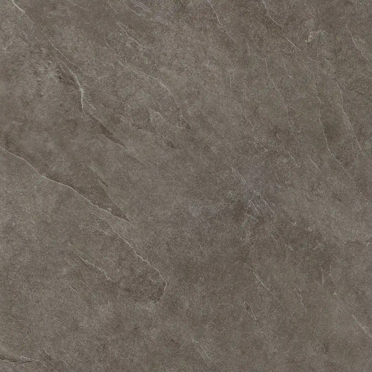 Bild 1 von Terrassenplatte Feinsteinzeug Ash 80 x 80 cm taupe matt