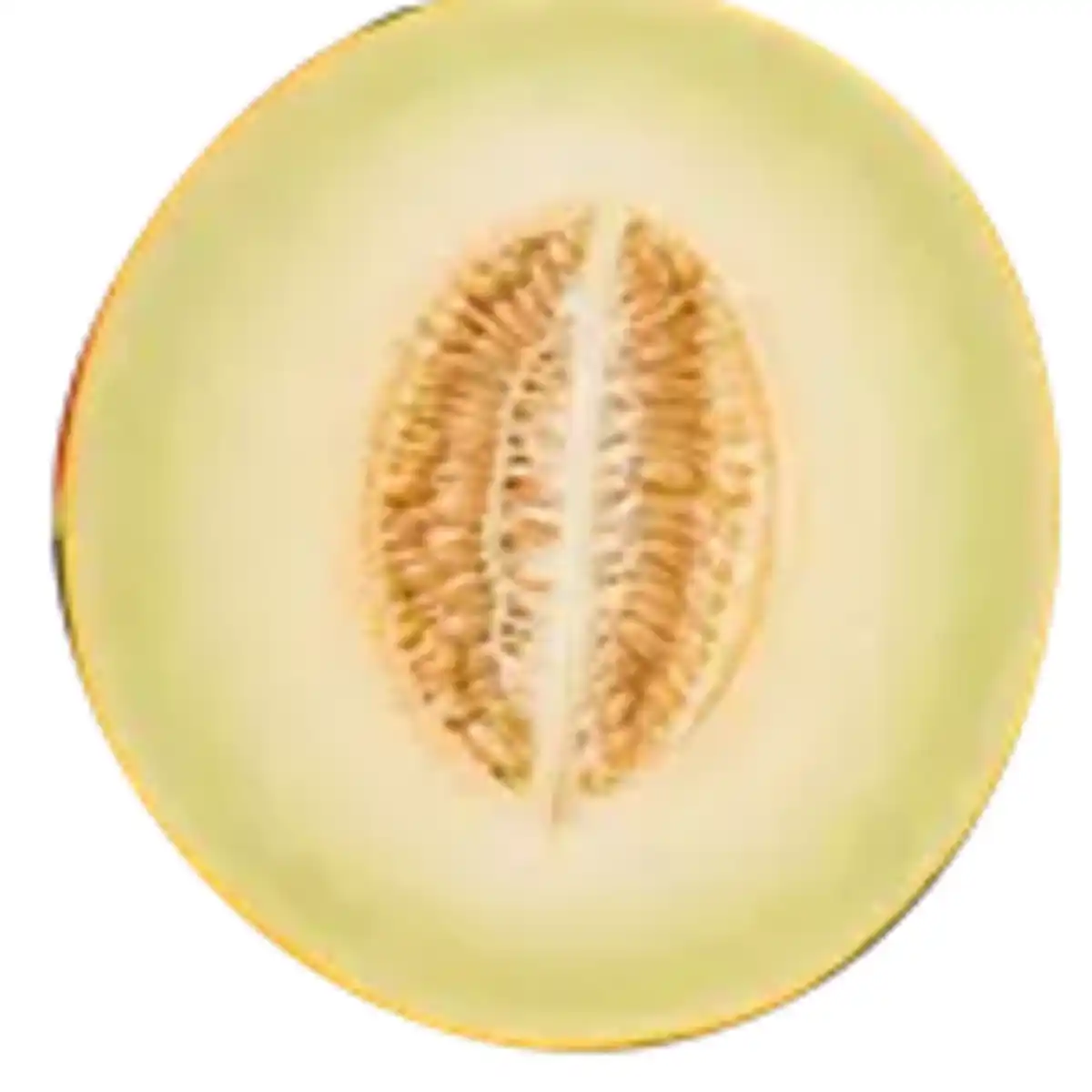 Bild 1 von Honigmelone