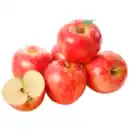 Bild 1 von Snack Äpfel
